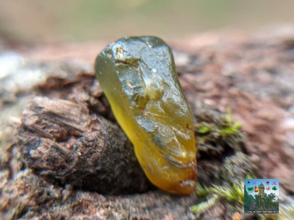 CEYLON NATURAL OLIVE GREEN ZIRCON ROUGH GEMSTONES - city of gem Ratnapura