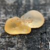 CEYLON NATURAL YELLOW SAPPHIRE ROUGH GEMSTONES COUPLE - city of gem Ratnapura