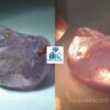 Ceylon Natural Colour Shifting Star Sapphire Rough Gemstone - city of gem Ratnapura