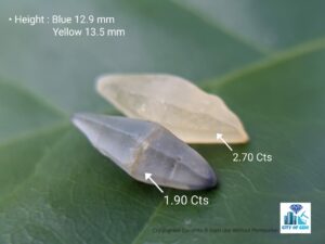 Ceylon Natural Double Terminated Sapphire Complete Crystal Couple (rough glass body ) - city of gem Ratnapura