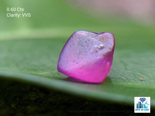 Ceylon Natural Sapphire Rough Gemstone Lot