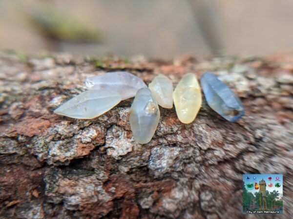 Ceylon Natural Small Sapphire Crystals Collection- city of gem Ratnapura