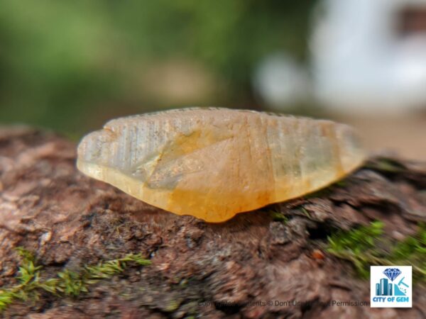 Ceylon Natural Yellow Sapphire Crystal - city of gem Ratnapura