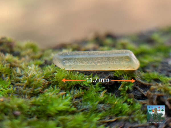 Ceylon Natural Yellow Sapphire Crystals - city of gem Ratnapura