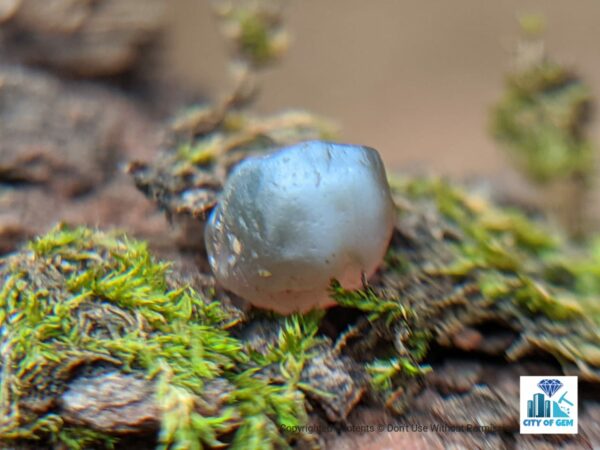 Very Rare Natural Chrysoberyl Alexanderite Cat's Eye Rough Gemstone - city of gem Ratnapura