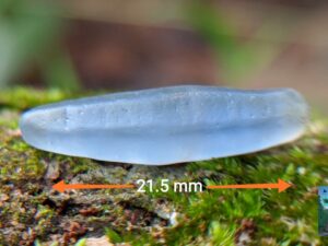 7_Ceylon Natural Blue Sapphire Alluvial Crystal Geuda- city of gem Ratnapura