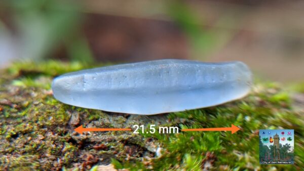 7_Ceylon Natural Blue Sapphire Alluvial Crystal Geuda- city of gem Ratnapura