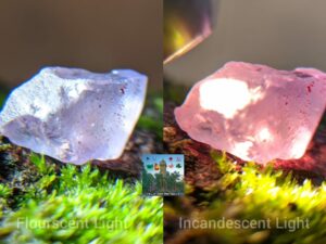 _Ceylon Natural Colour Shifting Violet Sapphire Rough Gemstone ( Colour shifting Violet to Pink ) - city of gem Ratnapura