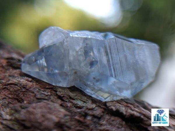 Ceylon Natural Double Terminated Sapphire geuda (dungal) Complete Crystal Couple ( glass body ) - city of gem Ratnapura