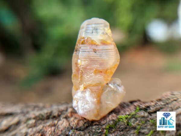 Ceylon Natural Sapphire Twin Crystal ( Rough Glass Body ) - city of gem Ratnapura