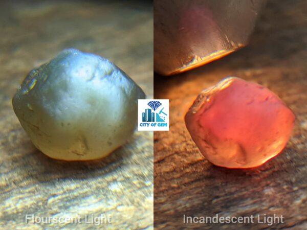 Very Rare Natural Chrysoberyl Alexanderite Cat's Eye Rough Gemstone - city of gem Ratnapura