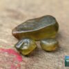 CEYLON NATURAL OLIVE GREEN ZIRCON ROUGH GEMSTONES - city of gem Ratnapura