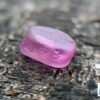 CEYLON NATURAL PINK SAPPHIRE ROUGH GEMSTONE - city of gem Ratnapura
