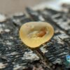 CEYLON NATURAL YELLOW SAPPHIRE ROUGH GEMSTONE - city of gem Ratnapura