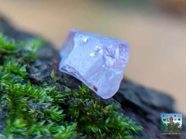 _Ceylon Natural Colour Shifting Violet Sapphire Rough Gemstone ( Colour shifting Violet to Pink ) - city of gem Ratnapura