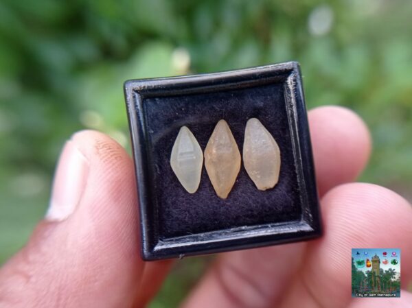 _Ceylon Natural Small Sapphire Crystals Collection. - city of gem Ratnapura