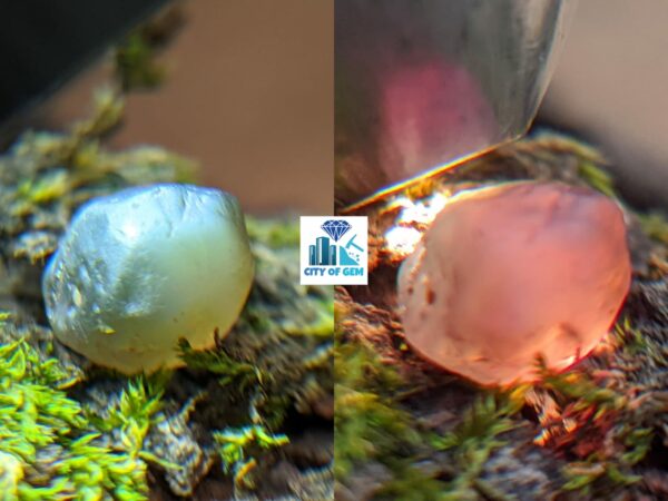 Very Rare Natural Chrysoberyl Alexanderite Cat's Eye Rough Gemstone - city of gem Ratnapura