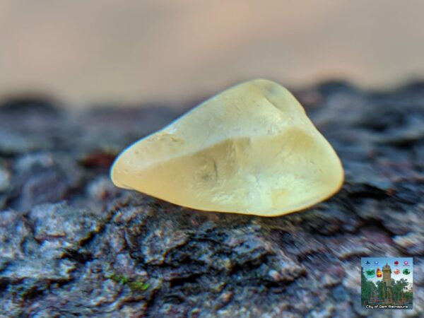 CEYLON NATURAL BLUE SAPPHIRE AND YELLOW SAPPHIRES LOT - city of gem Ratnapura