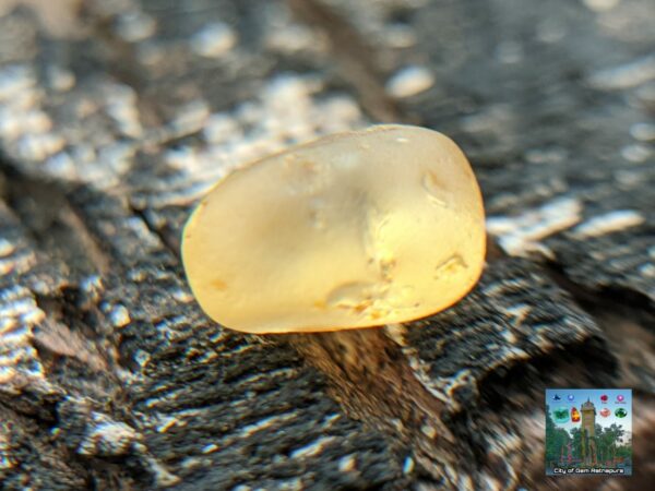 CEYLON NATURAL YELLOW SAPPHIRE ROUGH GEMSTONE - city of gem Ratnapura