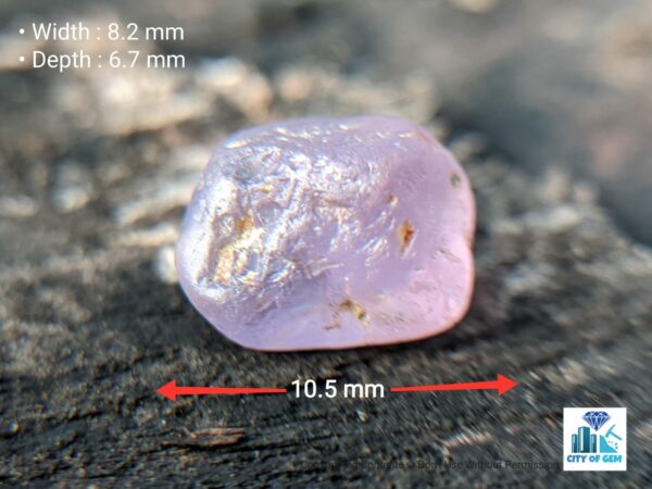 Ceylon Natural Colour Shifting Star Sapphire Rough Gemstone - city of gem Ratnapura
