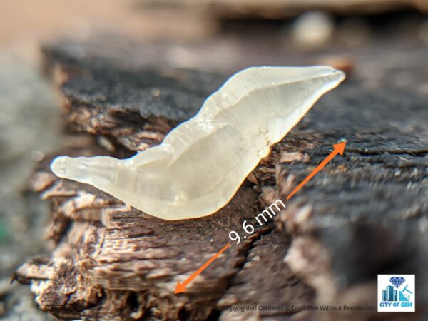 Ceylon Natural Sapphire Rough Glass Body Complete Crystal ( Unique Shape ) - city of gem Ratnapura