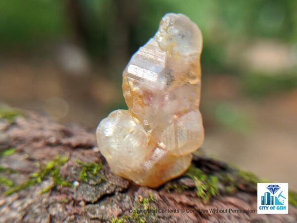 Ceylon Natural Sapphire Twin Crystal ( Rough Glass Body ) - city of gem Ratnapura