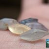 Ceylon Natural Small Sapphire Crystals Collection- city of gem Ratnapura