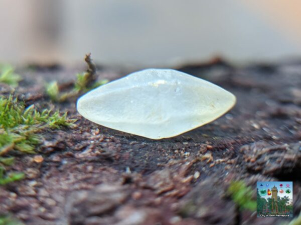 _Ceylon Natural Small Sapphire Crystals Collection. - city of gem Ratnapura