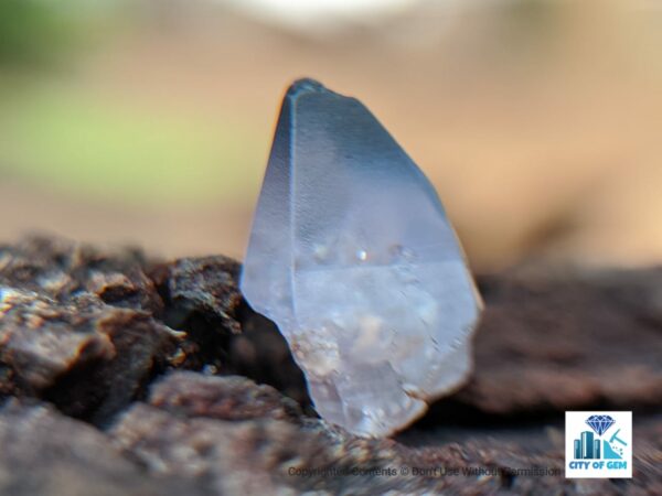 Ceylon Natural Sapphire Half Crystal Couple - city of gem Ratnapura