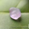 Ceylon Natural Sapphire Rough Lot with Colour shifting Violet Sapphire - city of gem Ratnapura
