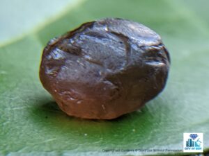 Ceylon Natural Zircon Rough Gemstones Lot