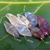 Ceylon Natural Sapphire Términated Crystal Lot ( Glass Body ) - city of gem Ratnapura