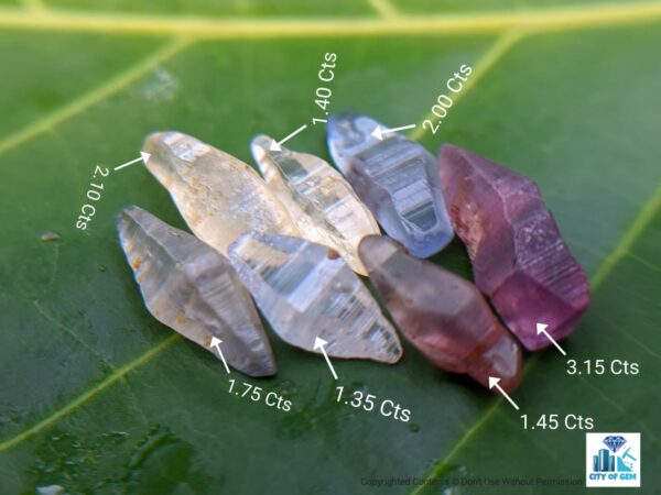 Ceylon Natural Sapphire Términated Crystal Lot ( Glass Body ) - city of gem Ratnapura