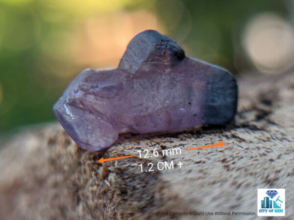 Ceylon Natural Sapphire Crystal Lot - city of gem Ratnapura