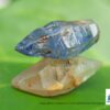 Ceylon Natural Double Terminated Blue Sapphire and Colourless Sapphire Complete Crystal Couple - city of gem Ratnapura