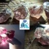 Natural Change Garnet Rough Gemstones Lot - City of Gem Ratnapura