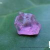 Natural Pink Sapphire Rough Gemstones Lot - city of gem Ratnapura