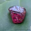 Ceylon Natural Rhodolite Garnet Rough Gemstones Lot - city of gem Ratnapura