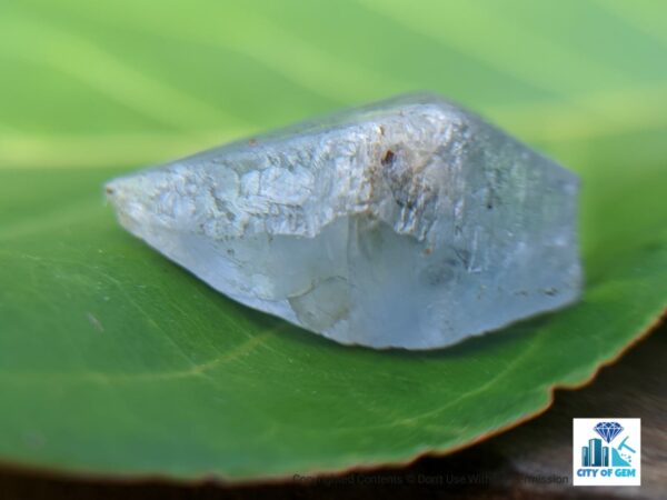 Ceylon Natural Sapphire Términated Crystal Lot ( Rough Glass Body ) - city of gem Ratnapura