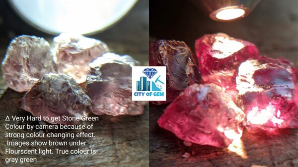 Natural Change Garnet Rough Gemstones Lot - City of Gem Ratnapura