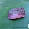 Natural Pink Sapphire Rough Gemstones Lot - city of gem Ratnapura