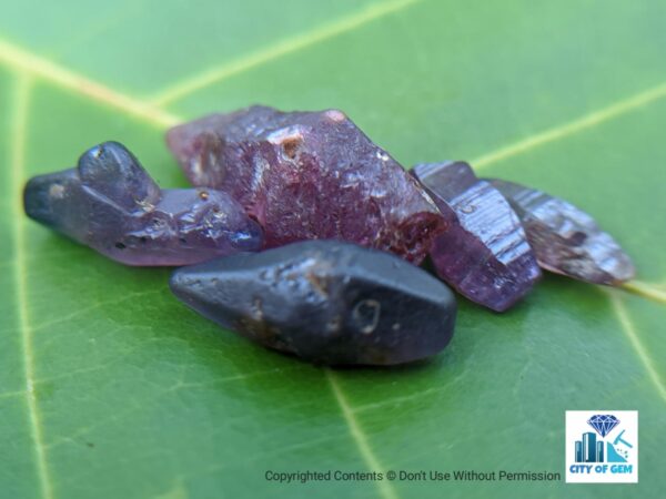 Ceylon Natural Sapphire Crystal Lot - city of gem Ratnapura