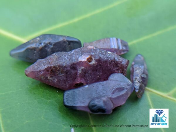 Ceylon Natural Sapphire Crystal Lot - city of gem Ratnapura