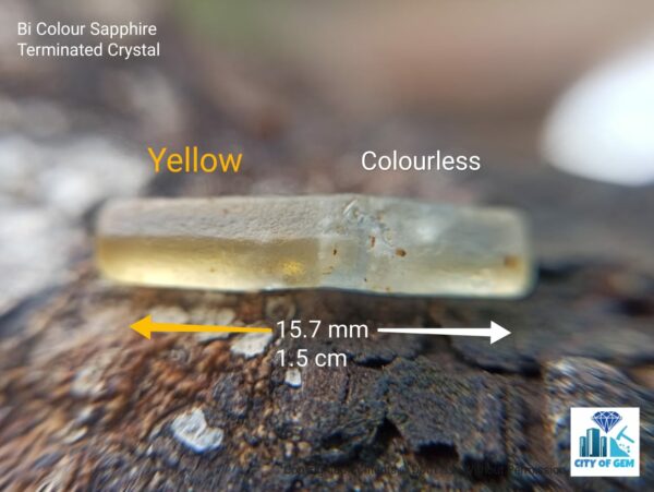 _Ceylon Natural Sapphire Terminated Crystal Lot - city of gem Ratnapura