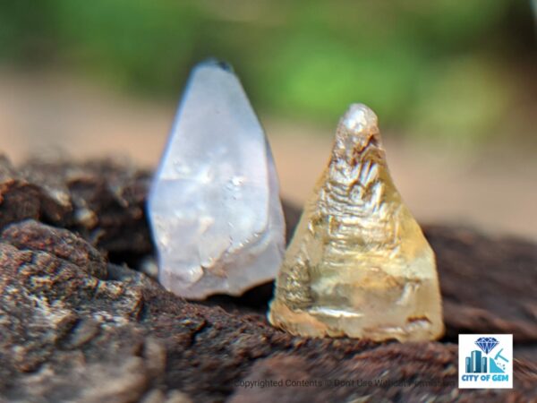 Ceylon Natural Sapphire Half Crystal Couple - city of gem Ratnapura