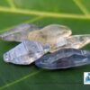 Ceylon Natural Sapphire Términated Crystal Lot ( Glass Body ) - city of gem Ratnapura