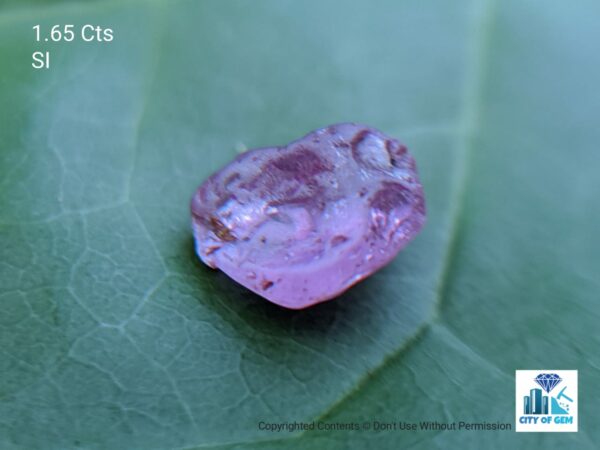 Natural Pink Sapphire Rough Gemstones Lot - city of gem Ratnapura