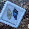 Ceylon Natural Double Terminated Sapphire Complete Crystal Couple (rough glass body ) - city of gem Ratnapura