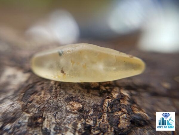 _Ceylon Natural Sapphire Terminated Crystal Lot - city of gem Ratnapura