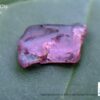 Natural Pink Sapphire Rough Gemstones Lot - city of gem Ratnapura